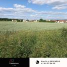 Construction d'une maison La Ferté-Gaucher (77320) 209 600 €