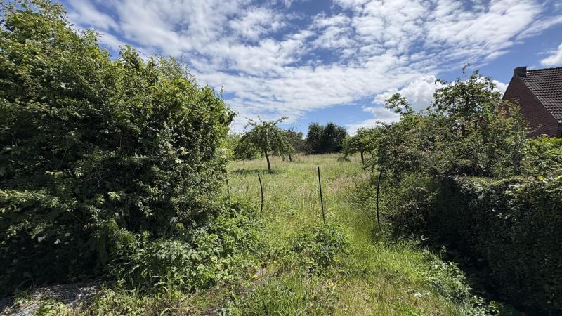 Construction d'une maison Berlaimont (59145) 191 500 &euro;
