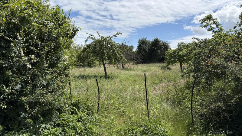Construction d'une maison Berlaimont (59145) 191 500 &euro;
